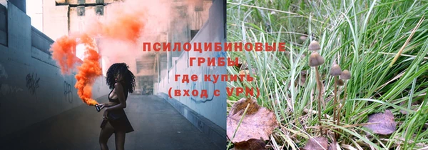 кокс Алзамай