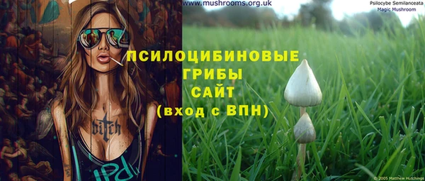 тгк Абаза