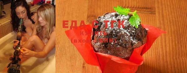 тгк Абаза