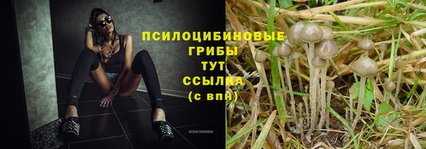 тгк Абаза