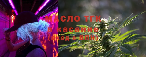 тгк Абаза